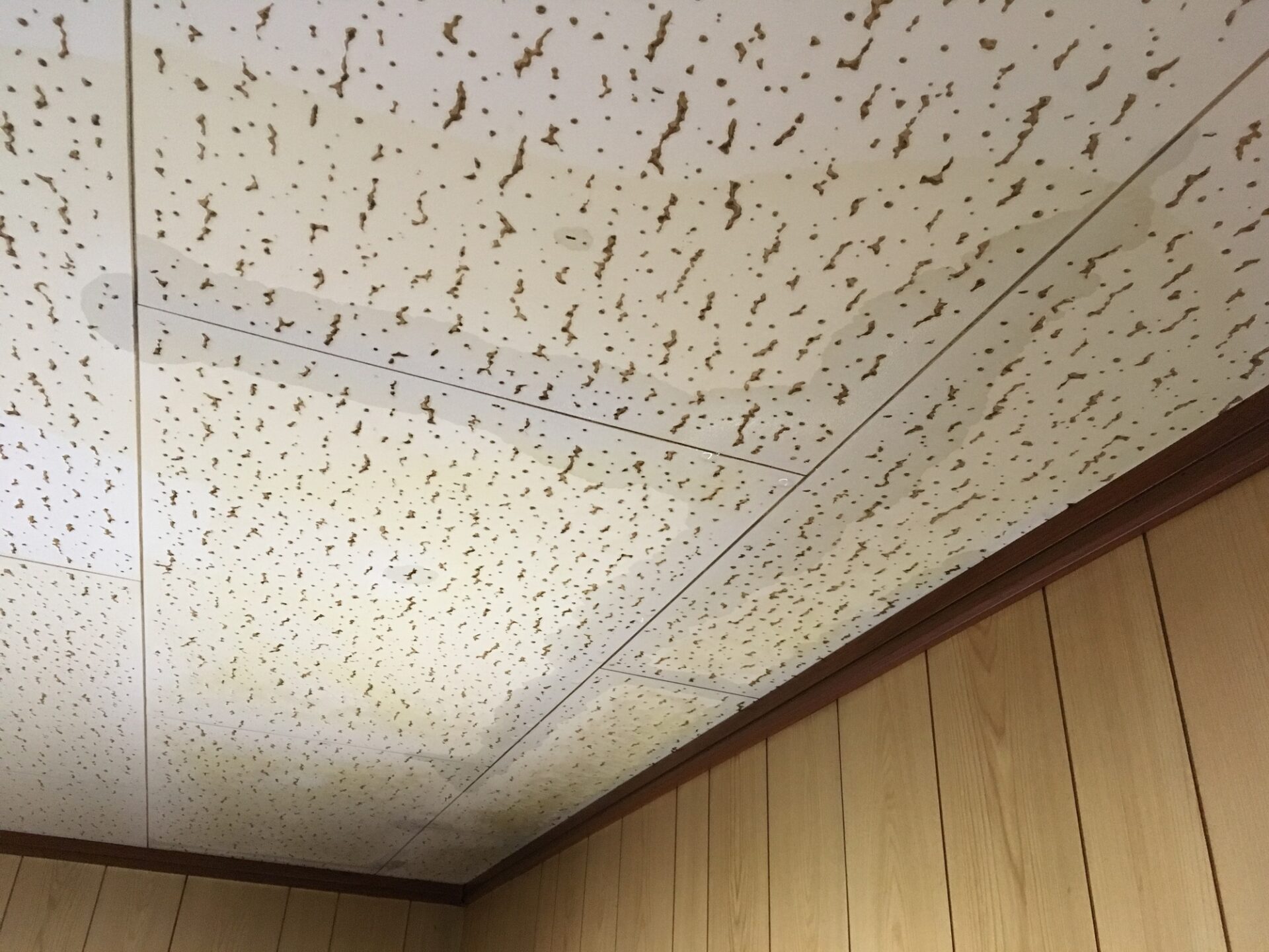 笠木の雨漏りでよくある症状